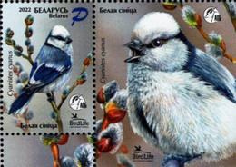 Belarus - 2022 - BirdLife International - Blue Tit - Cyanistes Cyanus - Mint Stamp With Tab - Belarus