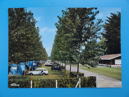 64 - Saint Palais - Le Camping "Ur Alde" (cpm) - Saint Palais