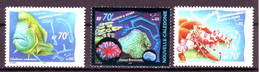 Nouvelle Caledonie - 815-817 - Neufs Ss Charnière - Aquarium De Noumea Poisson, Coraux, Crevette - Unused Stamps