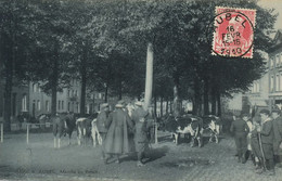 Aubel Marché Au Betail Cattle Market . P. Used Aubel 1910 - Aubel