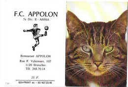 CALENDRIER 1994/CHAT//FOOTBALL/F.C. APPOLON BRUXELLES/PUB RESTAURANT APPOLON - Grand Format : 1991-00