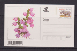 SOUTH AFRICA - 1997 Flowers Pre-Paid Postcard As Scans - Storia Postale
