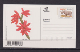 SOUTH AFRICA - 1997 Flowers Pre-Paid Postcard As Scans - Lettres & Documents