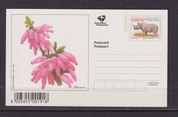 SOUTH AFRICA - 1997 Flowers Pre-Paid Postcard As Scans - Brieven En Documenten