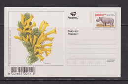 SOUTH AFRICA - 1997 Flowers Pre-Paid Postcard As Scans - Covers & Documents