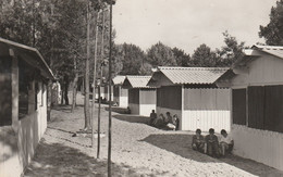 Delcampe - CPSM Dentelée (40) HOSSEGOR "Les Violettes" Colonie De Vacances Des Oeuvres Laïques De La Haute Garonne Colon - Hossegor