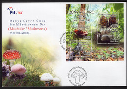 Turkey/Turquie 2015 - Mushrooms/Mantarlar - FDC - Excellent Quality ** - Superb*** - Storia Postale