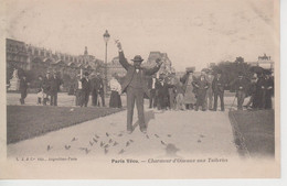 CPA Précurseur Paris - Paris Vécu - Charmeur D'oiseaux Aux Tuileries (belle Scène) - Petits Métiers à Paris