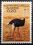 OISEAUX - ALGERIE                  N° 448                     NEUF** - Straussen- Und Laufvögel