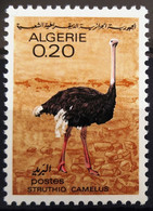 OISEAUX - ALGERIE                  N° 448                     NEUF** - Autruches