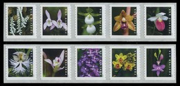 Etats-Unis / United States (Scott No.5444a - Wild Orchids) [**] Split In 2 Halfs Coil Strip - Ongebruikt