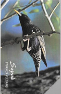 CARTE-MAGNETIQUE-POLOGNE-ETOURNEAU-STURNUS VULGARIS-Utilisé-TBE- - Songbirds & Tree Dwellers