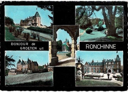 - CPA - Assesse - Domaine De Ronchinne - Centre De Vacances Des Postiers - Nels - Assesse