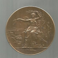 Médaille , Bronze , Graveur : A. Massoulle , A. Desaide Edit. ,non Attribuée , 33 Gr. ,dia . 42 Mm , Frais Fr 3.35 E - Professionali / Di Società