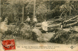 Paris * 12ème * Bois De Vincennes * Après Le Cyclone * Les Bords Du Ruisseau Près Du Jeu De Boules * Catastrophe - District 12