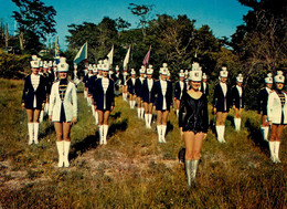 Marseille * Les Majorettes Phocéennes De La Ville * Twirling Baton - Non Classés