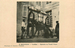 Vendome * D. BONNIGAL Opération Au Travail Vinsot * Ferrage Cheval Vétérinaire Animaux Médecine Maréchal école ? - Vendome