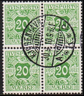 1907. Newspaper Stamps. 20 Øre Green. Wmk. Crown. 4-block. (Michel V5X) - JF521008 - Port Dû (Taxe)