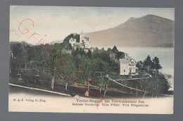 Vorder-Meggen Am Vierwaldstätter See - Schloss Habsburg, Villa Flühli, Villa Bürgenblick - Postkaart - LU Lucerne