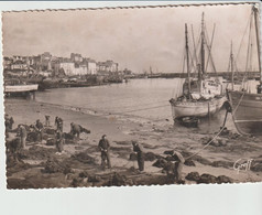 Douarnenez (29 - Finistère)  Le Port à Marée Basse - Douarnenez