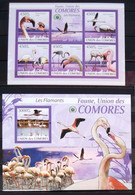 OISEAUX - COMORES                 N° 1711/1715 + BF 209                      NEUF** - Flamants