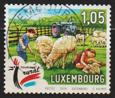 2019: Luxemburg Mi.Nr. 2204 Gest. / Luxembourg Y&T No. 2148 Obl. (d448) - Usados