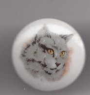 Pin's A.M. En Porcelaine De Limoges Chat Réf 8133 - Animales