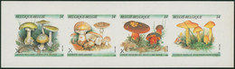 Non Dentelé (1991) - B21 Carnet De Timbres-poste : Champignons - Sonstige & Ohne Zuordnung