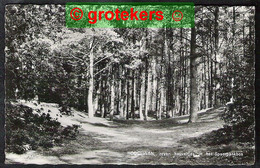 HOOGEVEEN Zeven Heuveltjes In Het Spaarbankbos ± 1966 - Hoogeveen