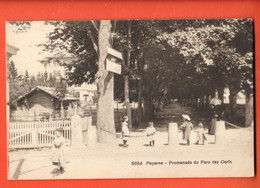 ZQG-22 RARE Payerne Broye Promenade Des Cerfs Et Biches TRES ANIME. Burgy 5654  Circulé 1904 - Payerne