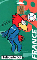 7533 Télécarte  Collection MASCOTTE  FOOT Coupe Du Monde Football La TETE France 98 Footix (Recto Verso) 50U - Sport