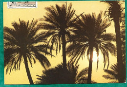 Crépuscule Dans La Palmeraie (Mauritanie) 2scans 1981 - Mauretanien