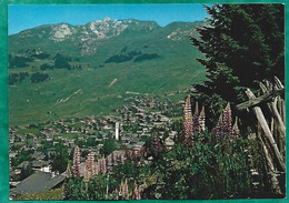 Verbier (Val De Bagnes, Valais) 2scans 1987 Lupins - Bagnes