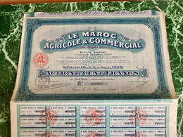 LE  MAROC  AGRICOLE  &  COMMERCIAL  ---------- Action  De  100 Frs - Africa