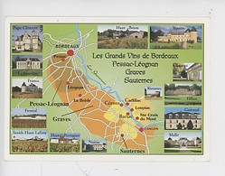 Grands Vins Bordeaux Géographique Multivues Pessac-Léognan Graves Suternes (clement Louviere France Fieuzal Brion Yquem - Viñedos