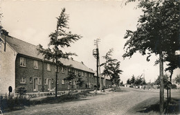 LEMBEKE   AVESCHOOT  , AVERSCHOOT   FOTOKAART        2 SCANS - Kaprijke