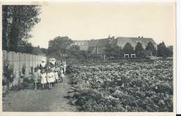 Ravels - O.L. Vrouw Van De Kempen - Open-luchtschool Voor Zwakke Meisjes - Al Wandelend Door De Moestuin - Ravels