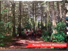 Postcard National Park Montecristo 2016 ( Butterfly Stamp) - El Salvador