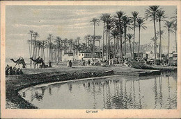 LIBYA / LIBIA -  OASI -  EDIZ. SION LEGHZIEL 1920s (11241) - Libia