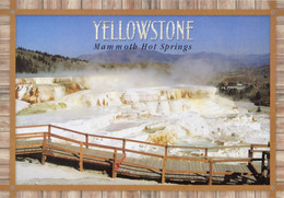 Yellowstone National Park - Mammoth Hot Springs - Minerva Terrace - Mammoth Hotel Seen In Background Right (J.Curteich) - USA Nationale Parken