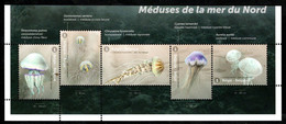 Méduses De La Mer Du Nord" - Neuf Sans Charnières - Unused Stamps