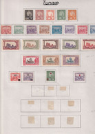 Tunisie - Collection Vendue Page Par Page - Timbres Neufs * Avec Charnière - TB - Unused Stamps