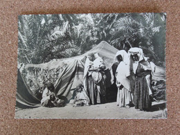 Sahara - Collection Saharienne - 18 Famille Nomade Dans L'Oasis - BE - DEL23 - Sahara Occidental