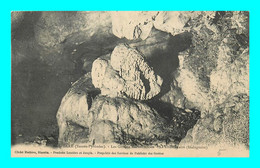A894 / 041 64 - SARE Grottes Merveilleuses Le Dromadaire - Ohne Zuordnung