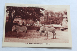 Paris 75, Exposition Coloniale Internationale 1931, Parc Zoologique, Zèbres, Animaux - Zèbres