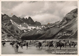 Flims Tschingelhörner Und Segnespass 1943 (10 X 15 Cm) - Flims