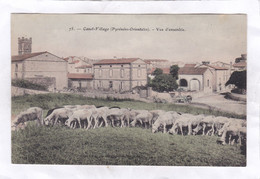 CPA :  14 X 9  -  CANET-VILLAGE  -  Vue  D'ensemble - Canet En Roussillon