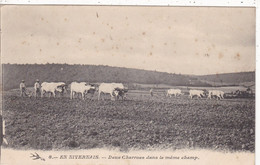 58. AGRICULTURE. CPA. CULTURE EN NIVERNAIS DEUX CHARRUES DANS LE MEME CHAMP. ANNEE 1904 + TEXTE - Culturas