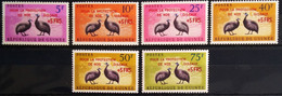 OISEAUX - GUINEE                  N° 87/92                      NEUF** - Pauwen