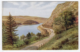 RHYADER - Careg Ddu, Elan Valley - A.R. Quinton - Salmon *2167 - Pembrokeshire